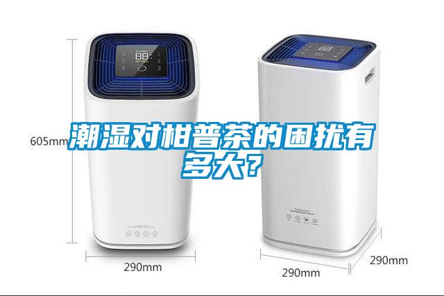 潮濕對柑普茶的困擾有多大？