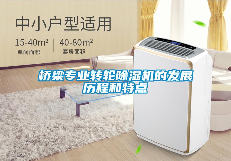 橋梁專業轉輪91看片在线下载機的發展曆程和特點