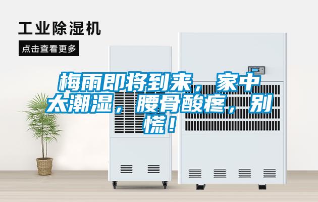 梅雨即將到來，家中太潮濕，腰骨酸疼，別慌！
