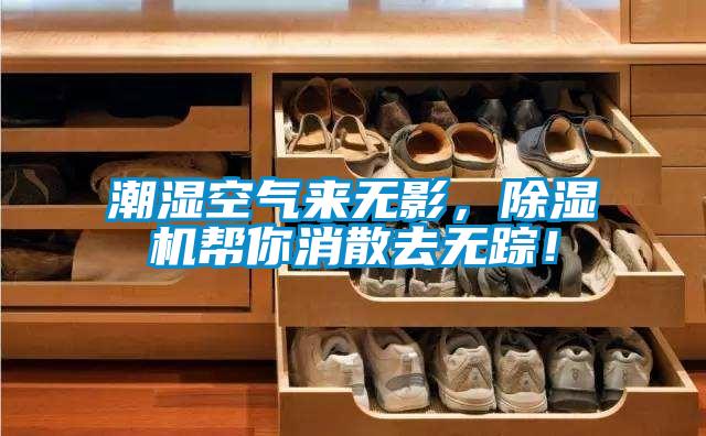 潮濕空氣來無影，91看片在线下载機幫你消散去無蹤！