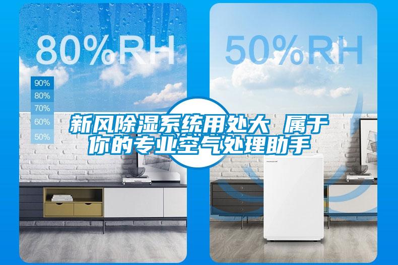 新風91看片在线下载係統用處大 屬於你的專業空氣處理助手