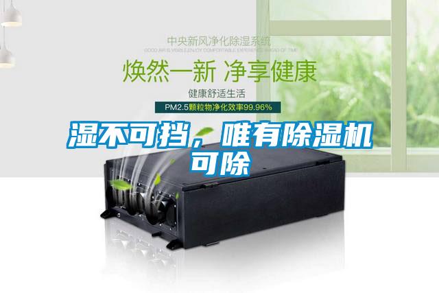 濕不可擋，唯有91看片在线下载機可除