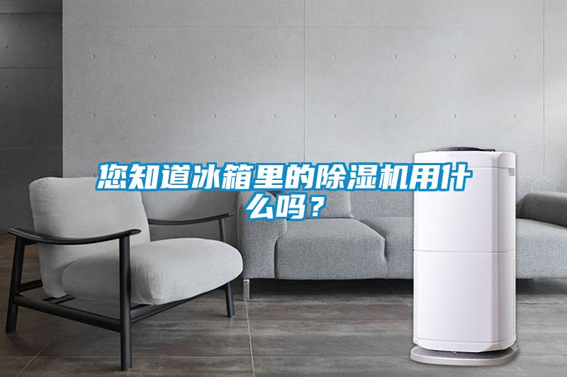 您知道冰箱裏的91看片在线下载機用什麽嗎？