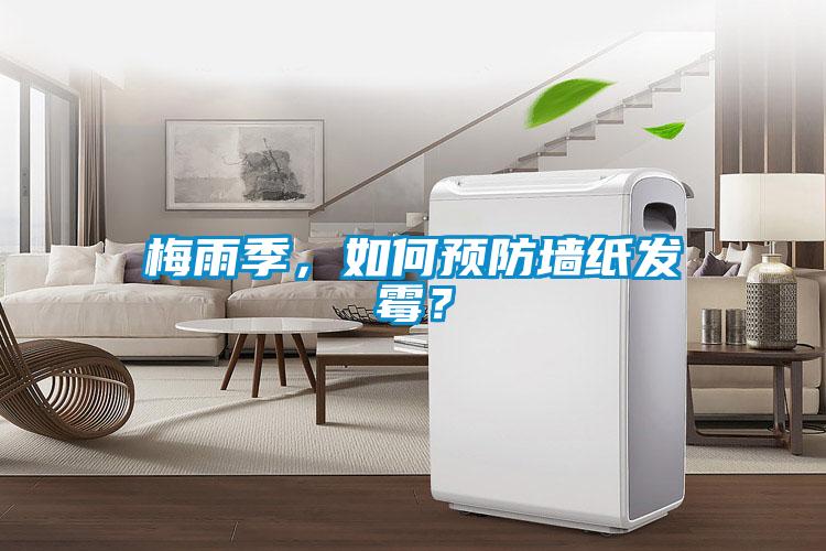 梅雨季，如何預防牆紙發黴？