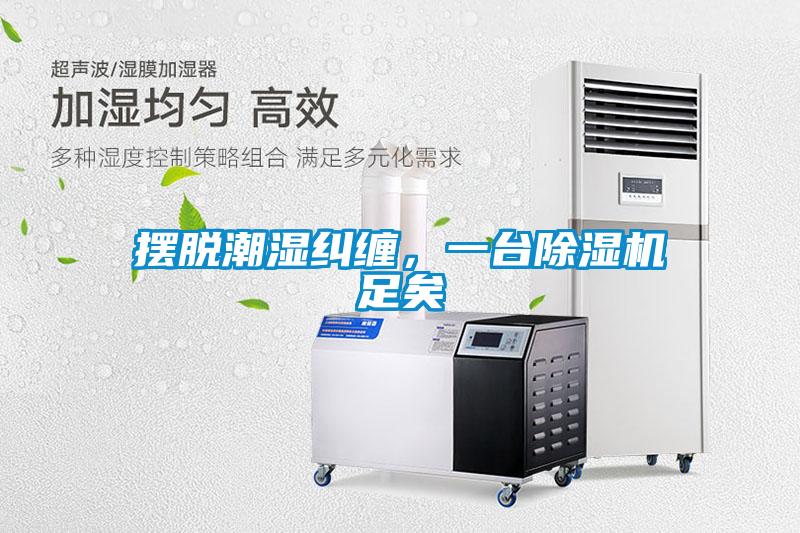 擺脫潮濕糾纏，一台91看片在线下载機足矣