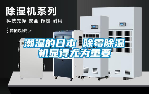 潮濕的日本 除黴91看片在线下载機顯得尤為重要