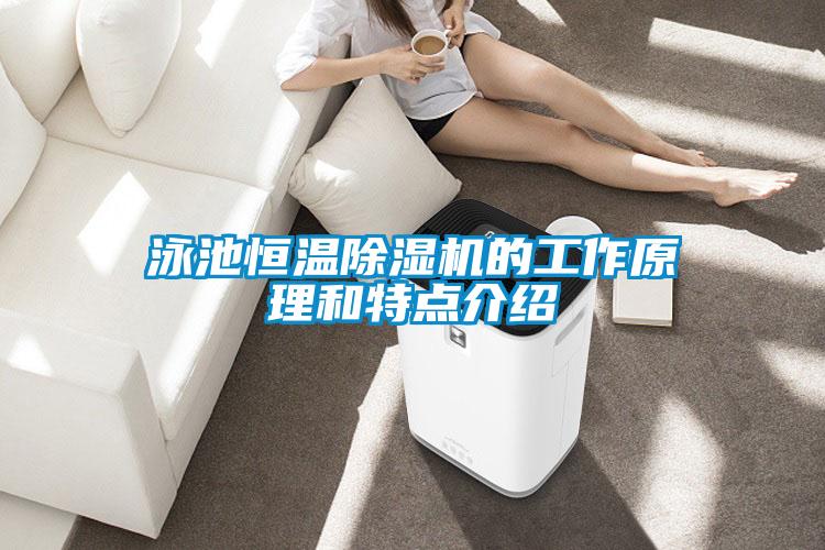 泳池恒溫91看片在线下载機的工作原理和特點介紹