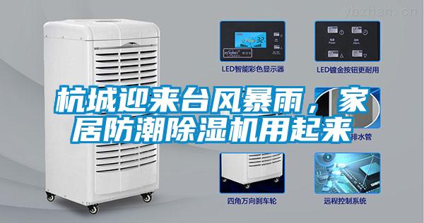 杭城迎來台風暴雨，家居防潮91看片在线下载機用起來