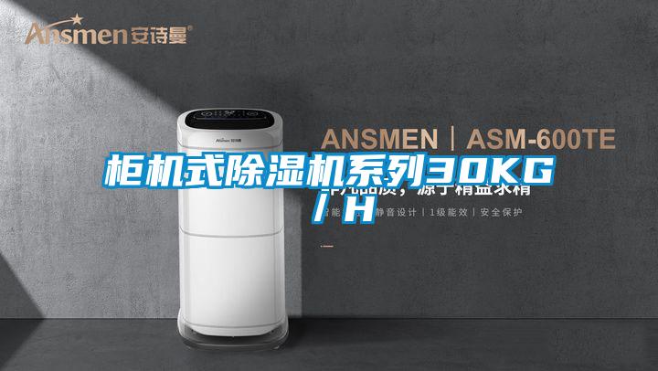 櫃機式91看片在线下载機係列30KG／H