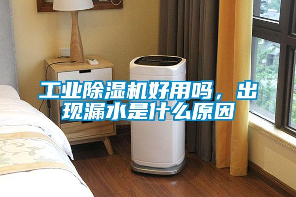 工業91看片在线下载機好用嗎，出現漏水是什麽原因