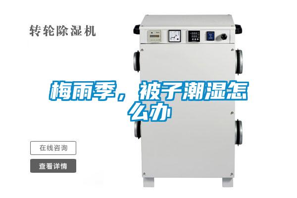 梅雨季，被子潮濕怎麽辦