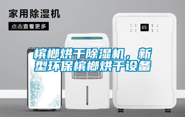 檳榔烘幹91看片在线下载機，新型環保檳榔烘幹設備