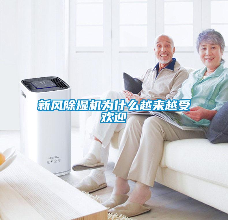 新風91看片在线下载機為什麽越來越受歡迎