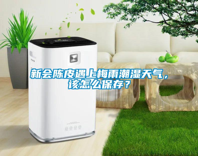 新會陳皮遇上梅雨潮濕天氣，該怎麽保存？