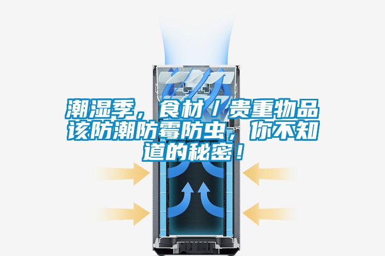 潮濕季，食材／貴重物品該防潮防黴防蟲，你不知道的秘密！