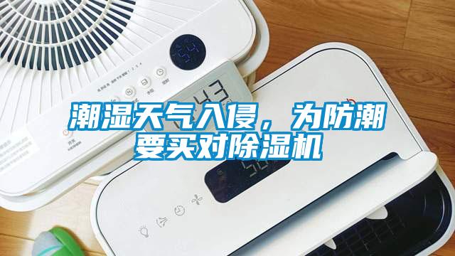 潮濕天氣入侵，為防潮要買對91看片在线下载機