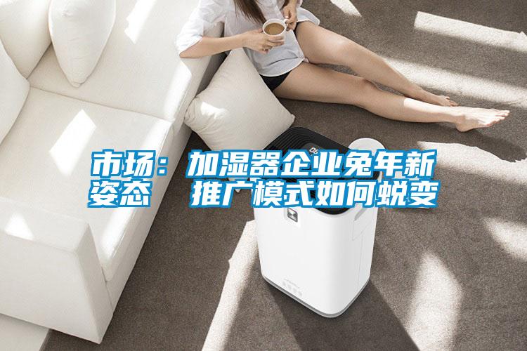 市場：加濕器企業兔年新姿態  推廣模式如何蛻變