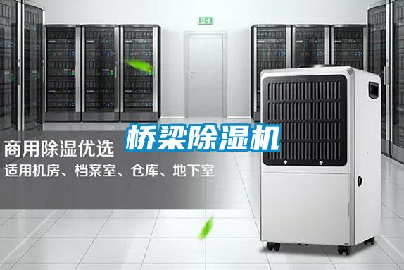 橋梁91看片在线下载機