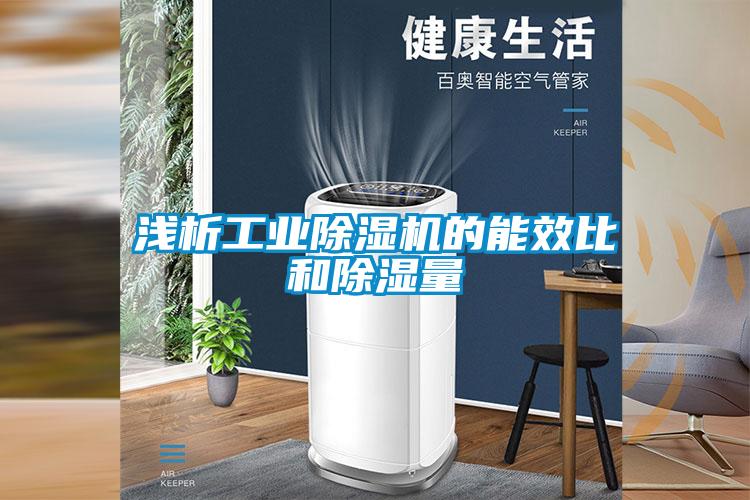 淺析工業91看片在线下载機的能效比和91看片在线下载量