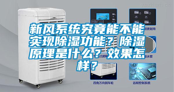 新風係統究竟能不能實現91看片在线下载功能？91看片在线下载原理是什麽？效果怎樣？