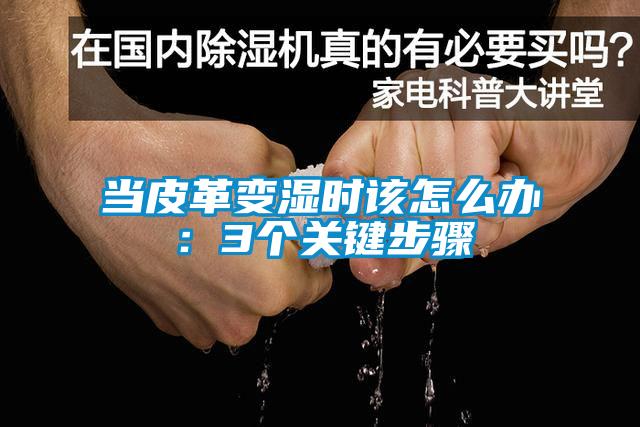 當皮革變濕時該怎麽辦：3個關鍵步驟