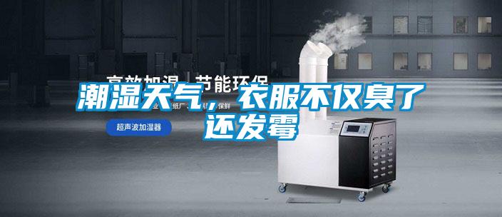 潮濕天氣，衣服不僅臭了還發黴
