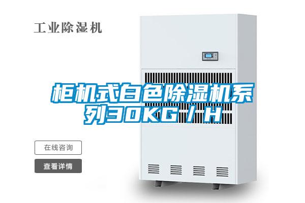 櫃機式白色91看片在线下载機係列30KG／H