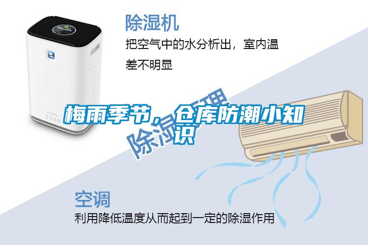 梅雨季節，倉庫防潮小知識