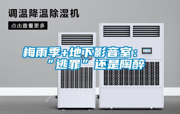 梅雨季+地下影音室：“逃罪”還是陶醉