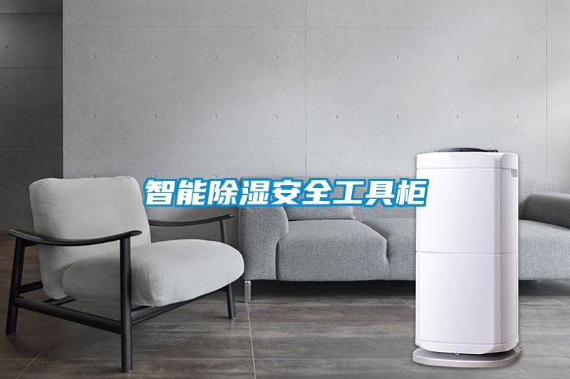 智能91看片在线下载安全工具櫃