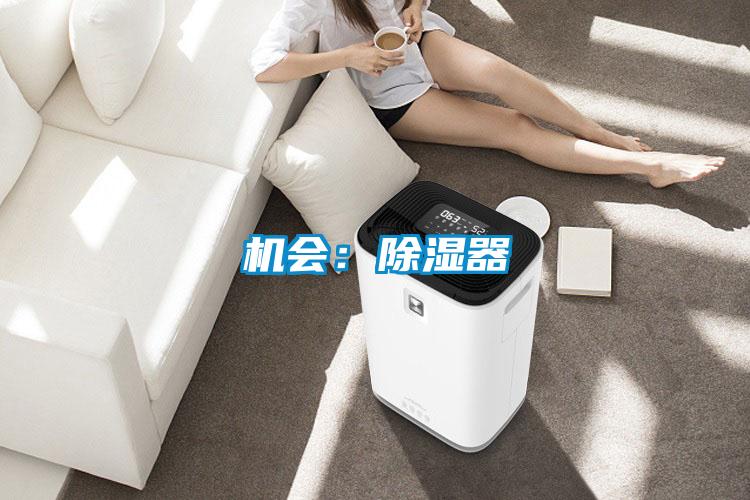 機會：91看片在线下载器