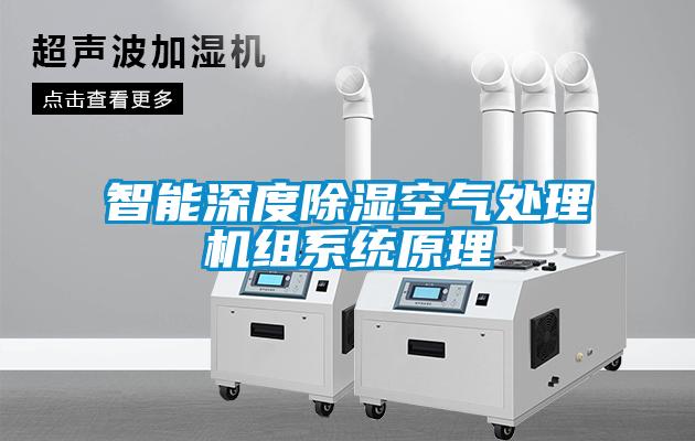 智能深度91看片在线下载空氣處理機組係統原理