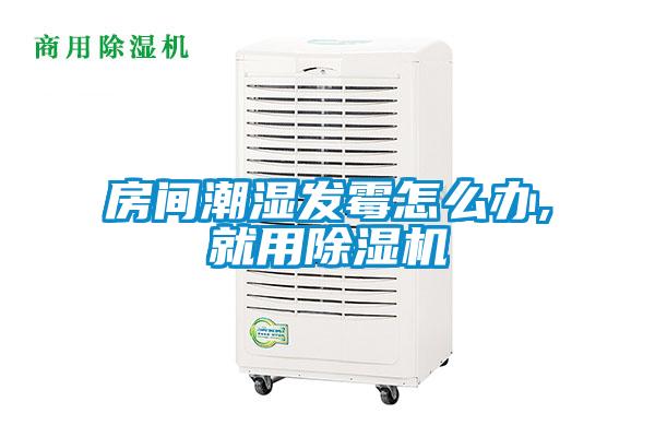 房間潮濕發黴怎麽辦,就用91看片在线下载機