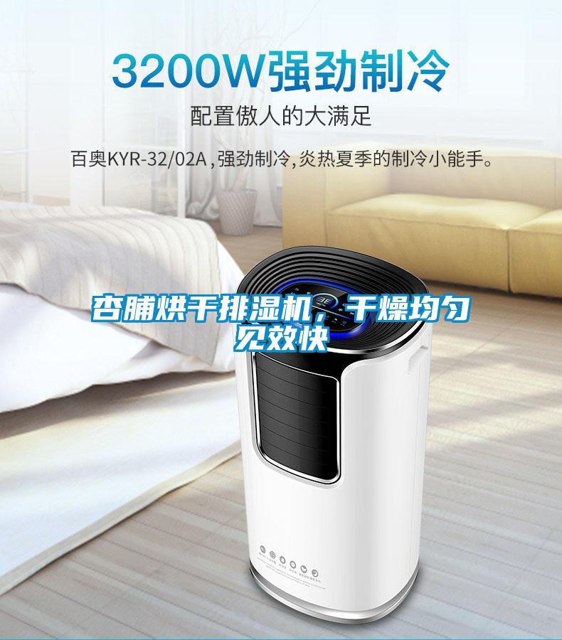 杏脯烘幹排濕機，幹燥均勻見效快
