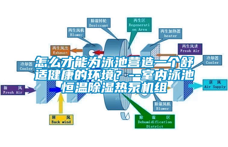 怎麽才能為泳池營造一個舒適健康的環境?--室內泳池恒溫91看片在线下载熱泵機組
