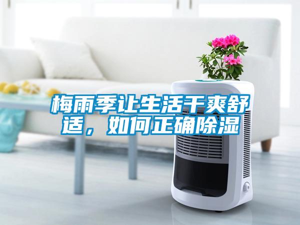 梅雨季讓生活幹爽舒適，如何正確91看片在线下载