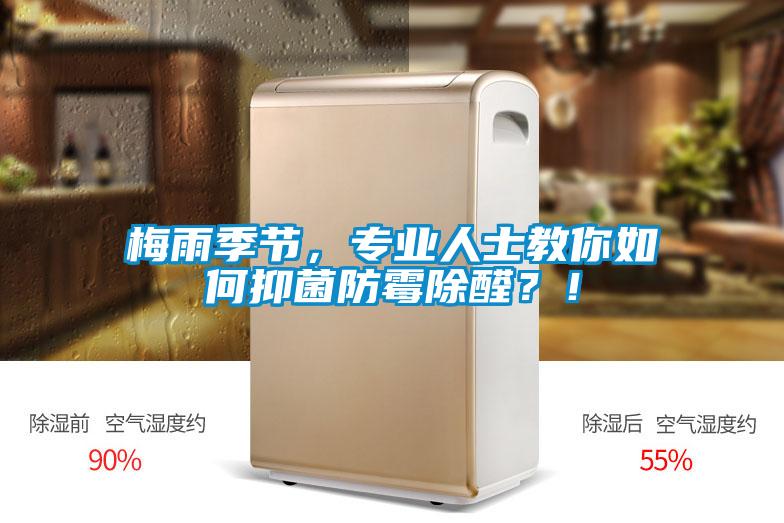 梅雨季節，專業人士教你如何抑菌防黴除醛？！