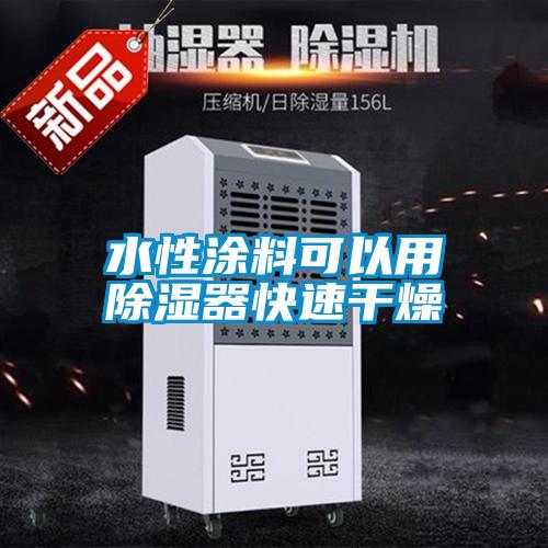 水性塗料可以用91看片在线下载器快速幹燥
