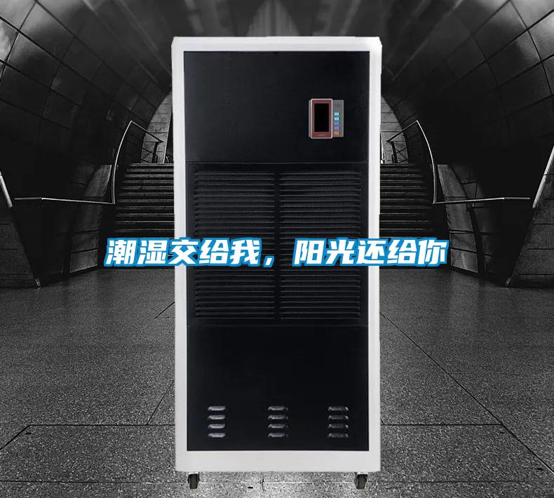潮濕交給我，陽光還給你