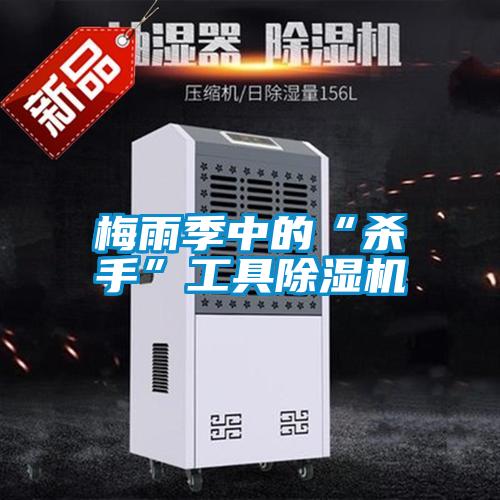 梅雨季中的“殺手”工具91看片在线下载機
