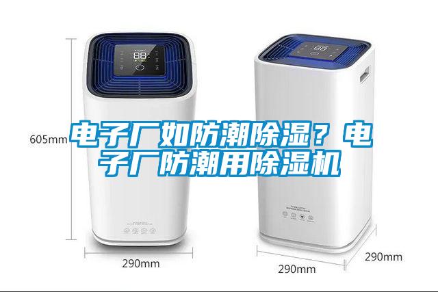 電子廠如防潮91看片在线下载？電子廠防潮用91看片在线下载機