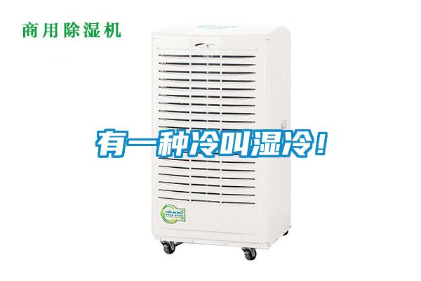 有一種冷叫濕冷！