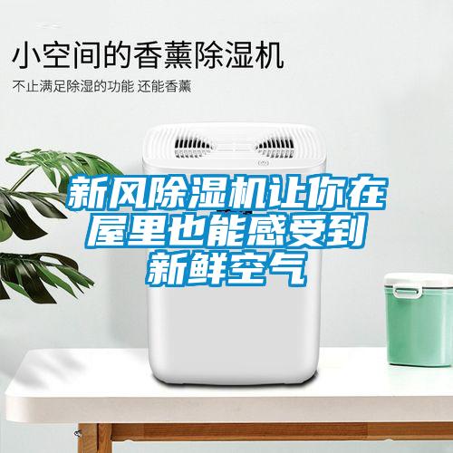 新風91看片在线下载機讓你在屋裏也能感受到新鮮空氣
