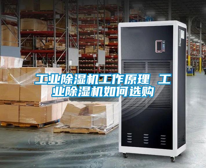 工業91看片在线下载機工作原理 工業91看片在线下载機如何選購