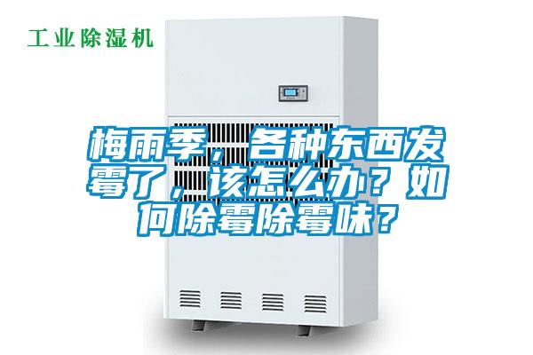 梅雨季，各種東西發黴了，該怎麽辦？如何除黴除黴味？