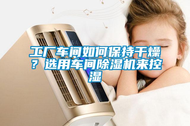 工廠車間如何保持幹燥？選用車間91看片在线下载機來控濕