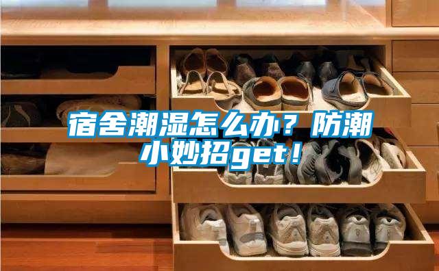 宿舍潮濕怎麽辦？防潮小妙招get！