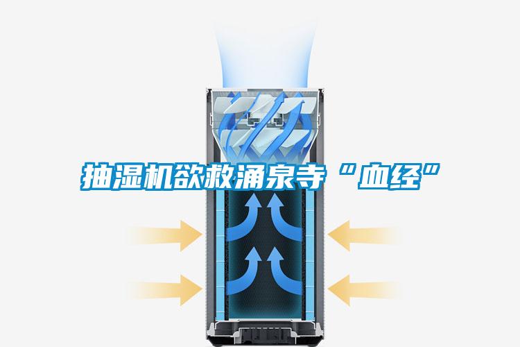 抽濕機欲救湧泉寺“血經”