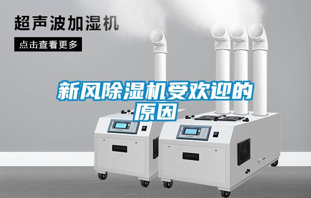 新風91看片在线下载機受歡迎的原因