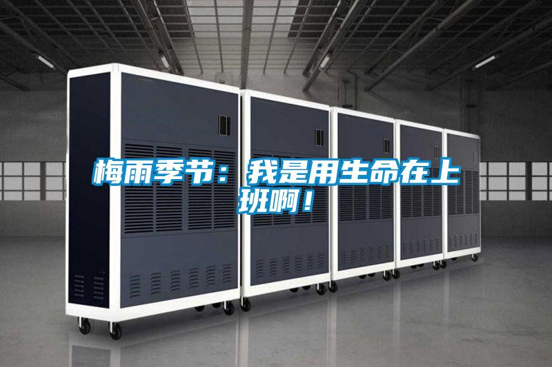 梅雨季節：我是用生命在上班啊！